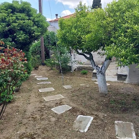 Villa L G K Mansion Est.1920 Ándros