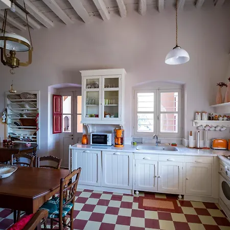 Villa L G K Mansion Est.1920 Ándros